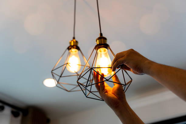Best Outdoor Lighting Installation  in Mounds View, MN